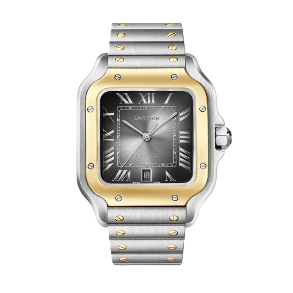 Cartier Santos De Cartier CRW2SA0030 Demi Yellow Gold