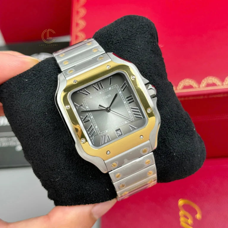 Cartier Santos De Cartier CRW2SA0030 Demi Yellow Gold